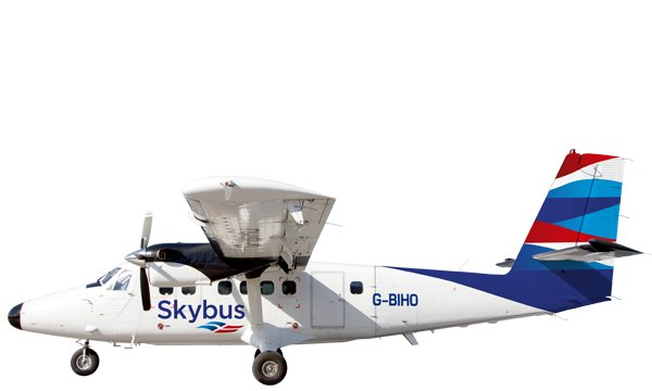 Skybus fixed wing planes