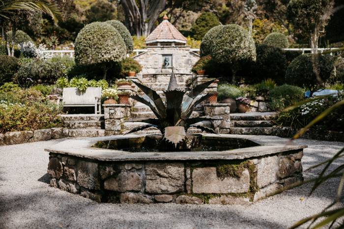 A fountain in a garden